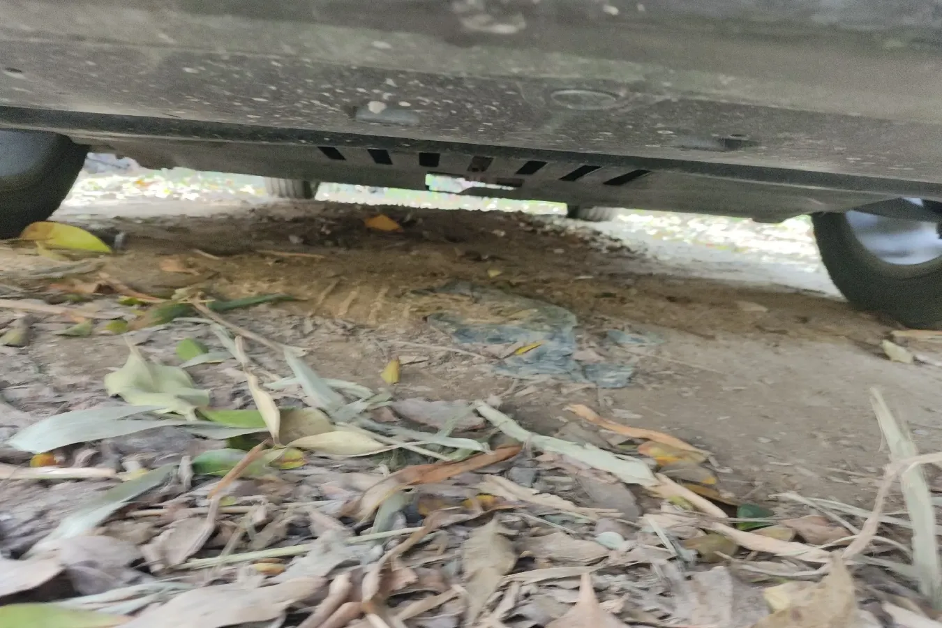 2014 DS 5 1.6T 163HP L4 6AT,autocango,china used car exporter,china ev exporter,chinese used car exporter,chinese used ev exporter