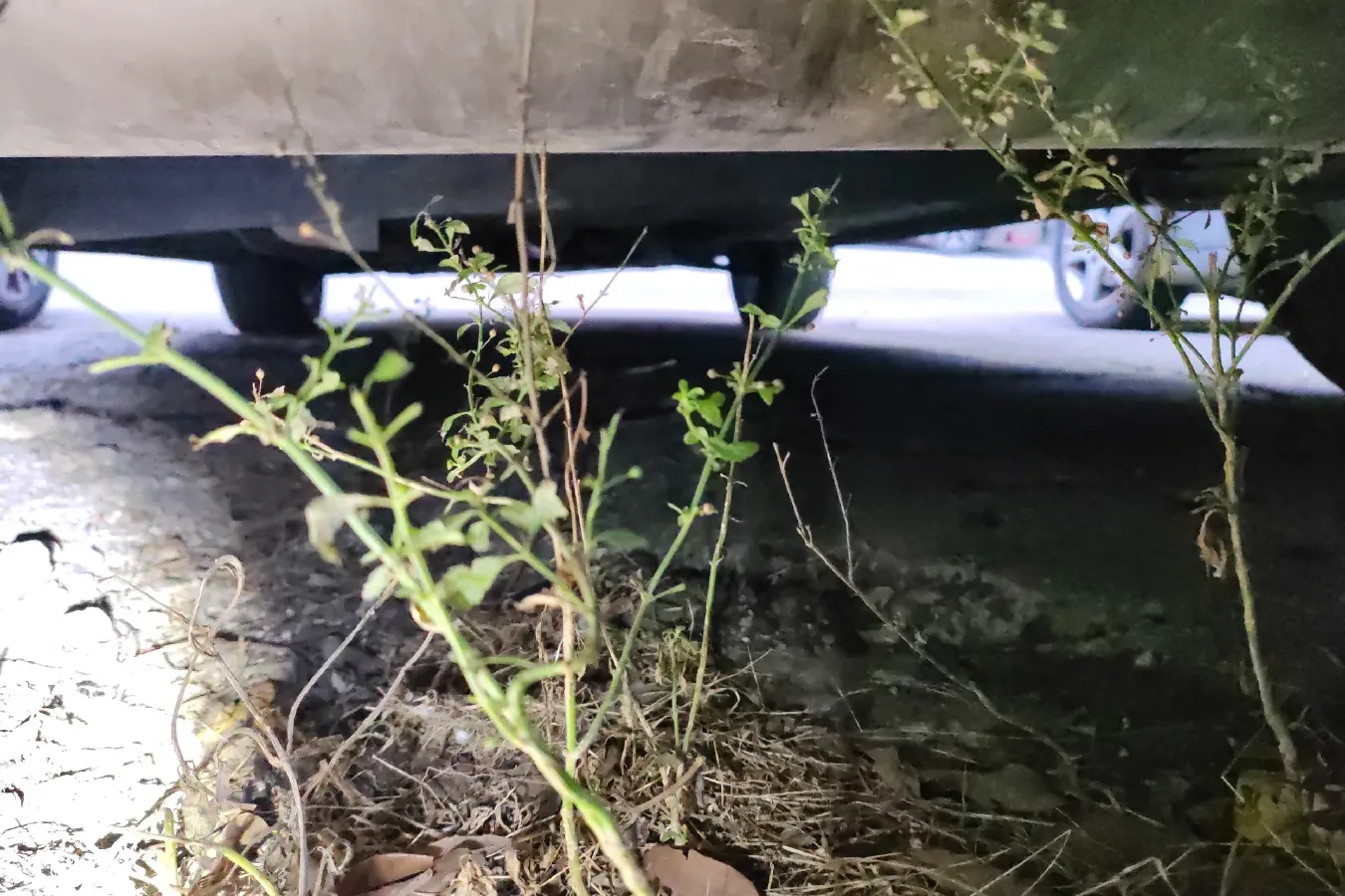 2021 DongFeng Fengon Fengon 500 1.5L 116HP L4 CVT,autocango,china used car exporter,china ev exporter,chinese used car exporter,chinese used ev exporter