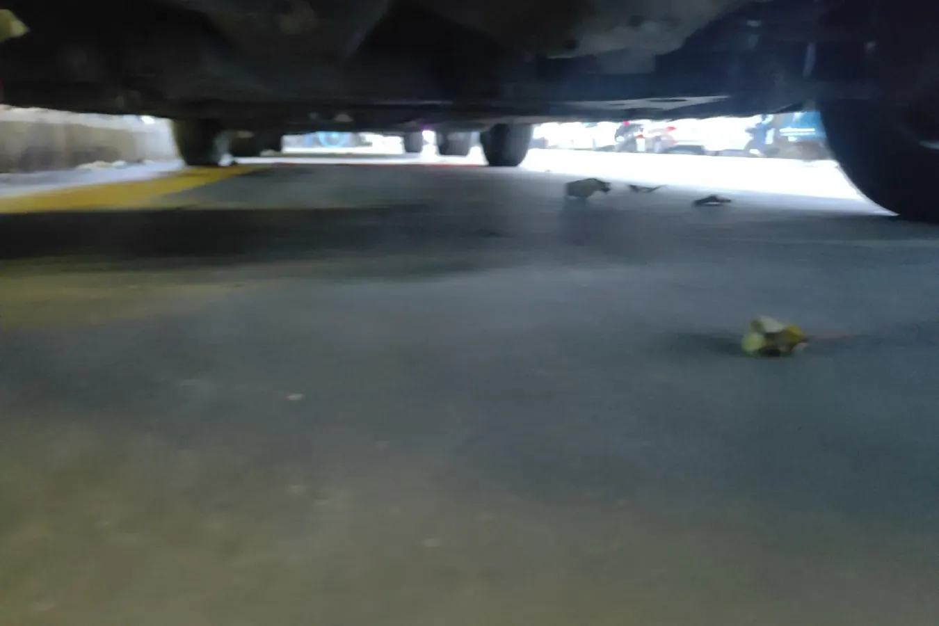 2013 Venucia R50 1.6L 117HP L4 5MT,autocango,china used car exporter,china ev exporter,chinese used car exporter,chinese used ev exporter