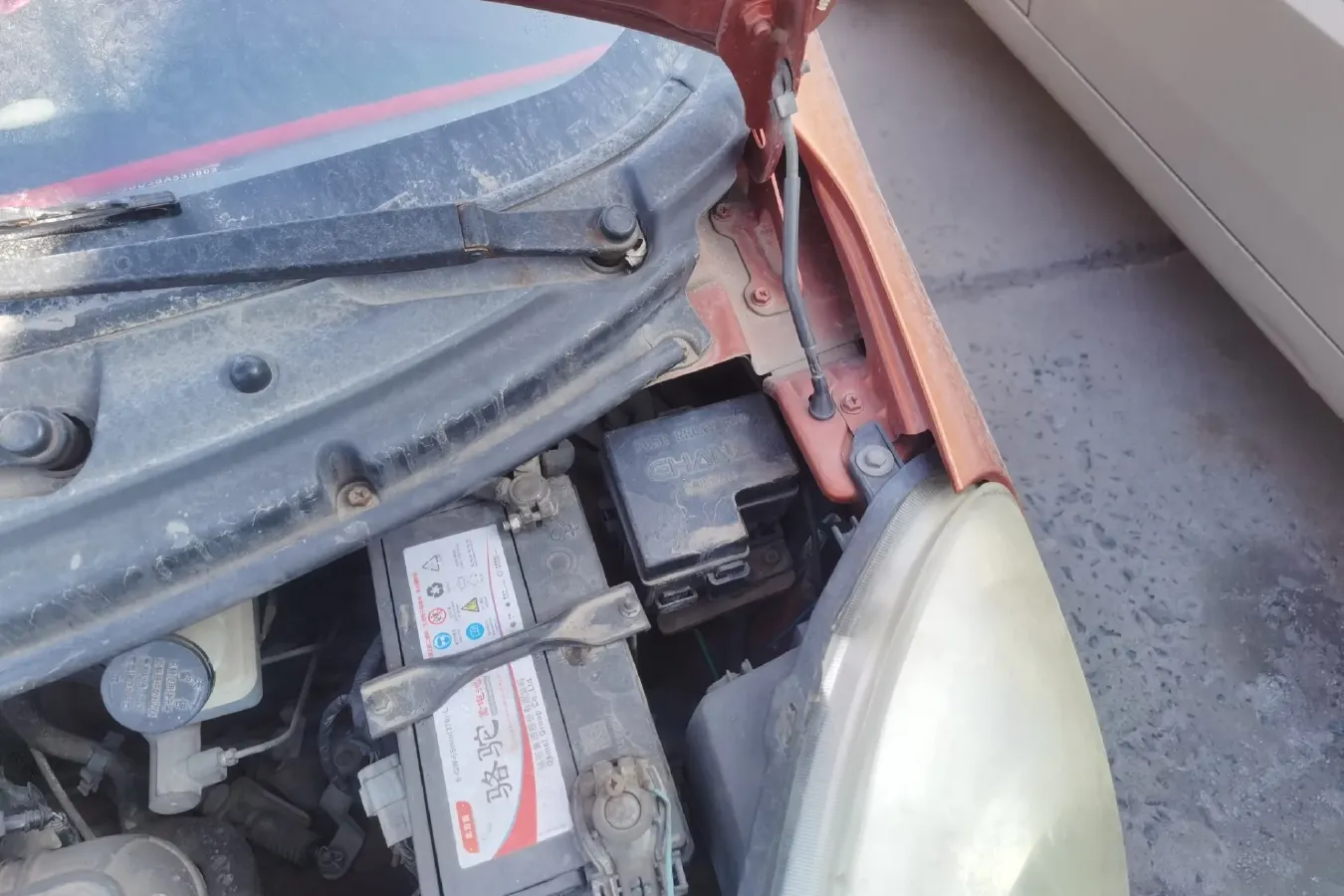 2010 ChangAn BenBen MINI 1.0L 70HP L4 5MT,autocango,china used car exporter,china ev exporter,chinese used car exporter,chinese used ev exporter