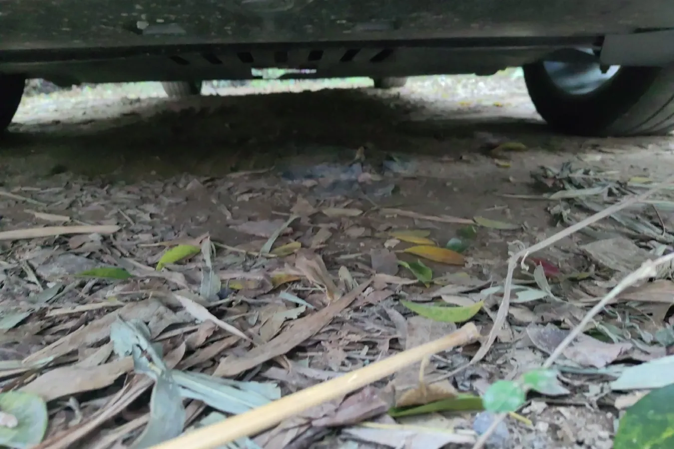 2014 DS 5 1.6T 163HP L4 6AT,autocango,china used car exporter,china ev exporter,chinese used car exporter,chinese used ev exporter