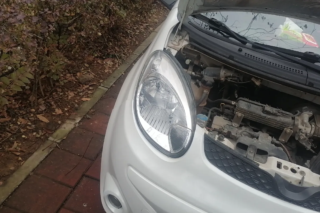 2012 ChangAn BenBen MINI 1.0L 69HP L4 5MT,autocango,china used car exporter,china ev exporter,chinese used car exporter,chinese used ev exporter