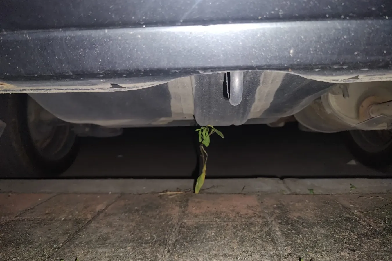 2011 Everus S1 1.3L 82HP L4 5AT,autocango,china used car exporter,china ev exporter,chinese used car exporter,chinese used ev exporter