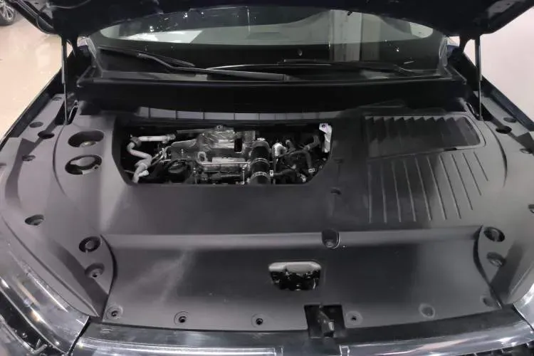 2020 Venucia Star 1.5T 190HP L4 7DCT,autocango,china used car exporter,china ev exporter,chinese used car exporter,chinese used ev exporter