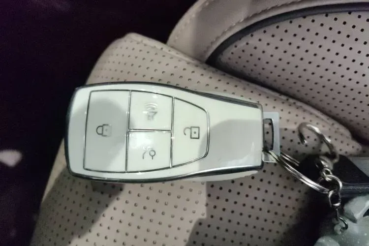 2022 BeiJing BJ60 2.0T 267HP L4 8AT,autocango,china used car exporter,china ev exporter,chinese used car exporter,chinese used ev exporter