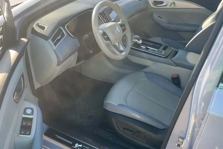 2020 Rising Auto ER6 BEV 69.9KWH,autocango,china used car exporter,china ev exporter,chinese used car exporter,chinese used ev exporter