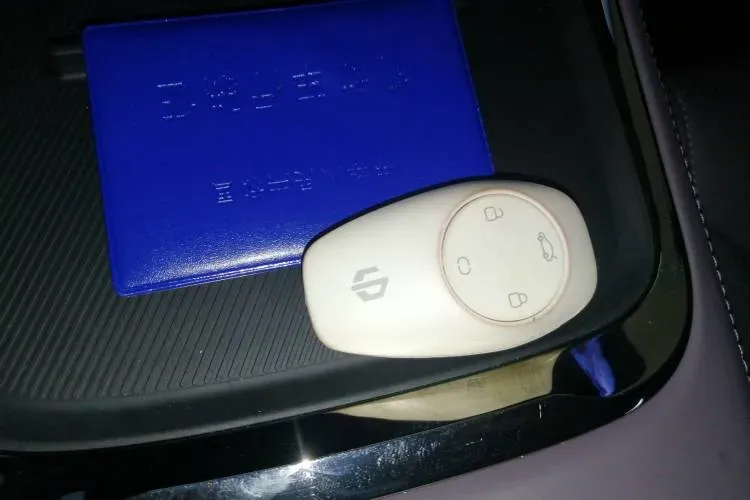 2021 Leapmotor C11 BEV 76.6KWH,autocango,china used car exporter,china ev exporter,chinese used car exporter,chinese used ev exporter