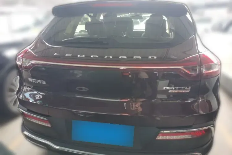 2018 Leopaard Mattu 1.6T 200HP L4 6MT,autocango,china used car exporter,china ev exporter,chinese used car exporter,chinese used ev exporter