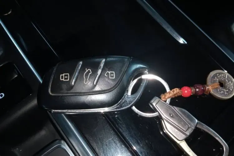 2020 Rising Auto ER6 BEV 69.9KWH,autocango,china used car exporter,china ev exporter,chinese used car exporter,chinese used ev exporter