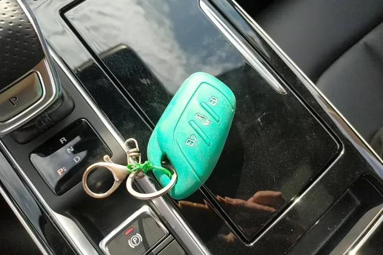 2020 Rising Auto ER6 BEV 69.9KWH,autocango,china used car exporter,china ev exporter,chinese used car exporter,chinese used ev exporter