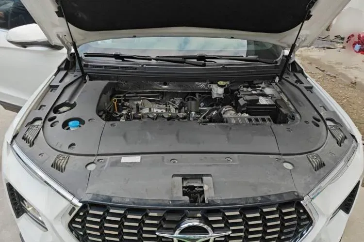 2019 HaiMa 8S 1.6T 195HP L4 6AT,autocango,china used car exporter,china ev exporter,chinese used car exporter,chinese used ev exporter