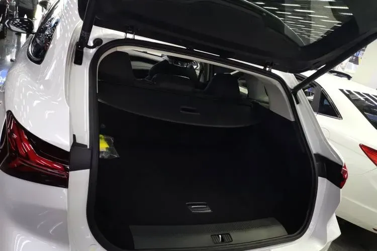 2021 Rising Auto MARVEL R 2AT BEV 69.9KWH,autocango,china used car exporter,china ev exporter,chinese used car exporter,chinese used ev exporter