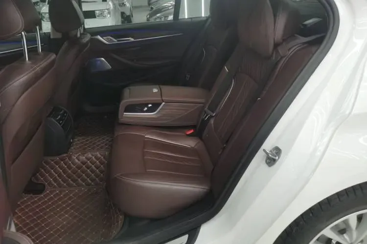 2019 BMW 5 Series 2.0T 252HP L4 8AT,autocango,china used car exporter,china ev exporter,chinese used car exporter,chinese used ev exporter