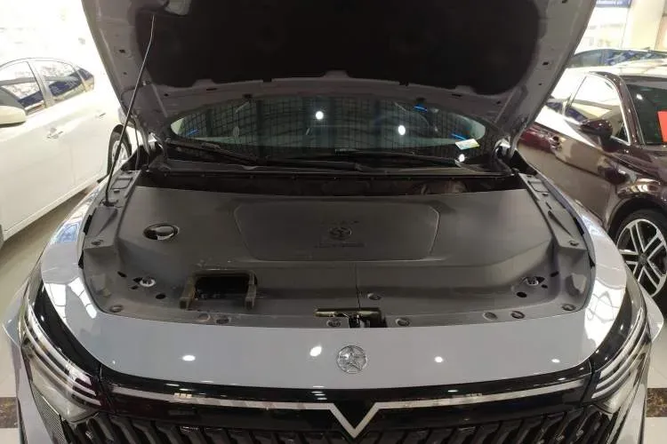 2023 Venucia Grand V DD-i 1.5T 163HP L4 E-CVT PHEV 18.4KWH,autocango,china used car exporter,china ev exporter,chinese used car exporter,chinese used ev exporter