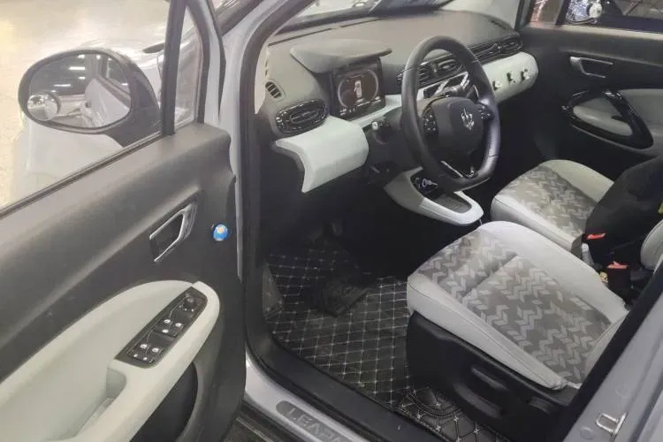 2022 Leapmotor T03 BEV 41KWH,autocango,china used car exporter,china ev exporter,chinese used car exporter,chinese used ev exporter