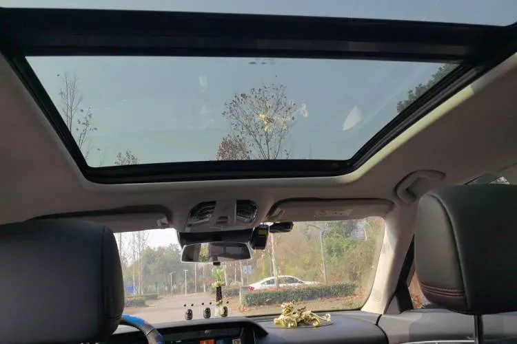 2020 Bestune T99 2.0T 224HP L4 8AT,autocango,china used car exporter,china ev exporter,chinese used car exporter,chinese used ev exporter