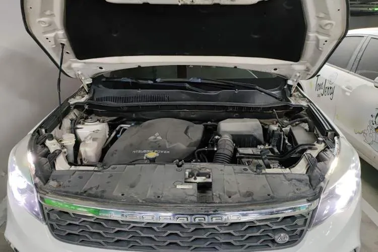 2017 Leopaard CS10 2.0T 177HP L4 6DCT,autocango,china used car exporter,china ev exporter,chinese used car exporter,chinese used ev exporter