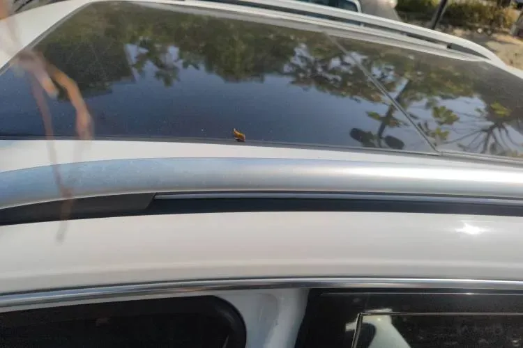 2017 Zotye T600 Coupe 1.5T 156HP L4 6AT,autocango,china used car exporter,china ev exporter,chinese used car exporter,chinese used ev exporter