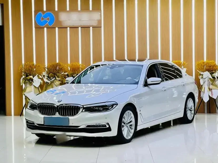 2019 BMW 5 Series 2.0T 184HP L4 8AT PHEV 13KWH