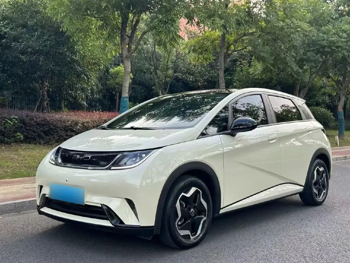 2023 BYD Dolphin BEV 44.928KWH