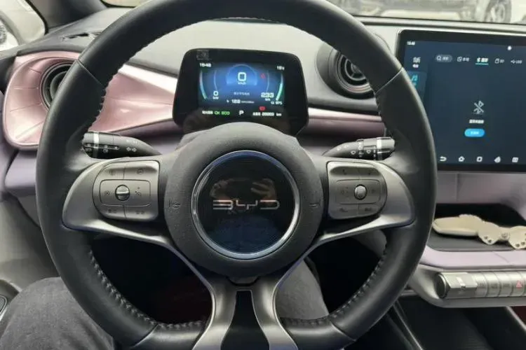 2021 BYD Dolphin BEV 44.9KWH,autocango,china used car exporter,china ev exporter,chinese used car exporter,chinese used ev exporter