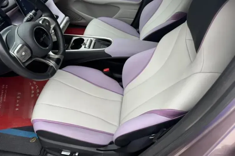 2021 BYD Dolphin BEV 44.9KWH,autocango,china used car exporter,china ev exporter,chinese used car exporter,chinese used ev exporter