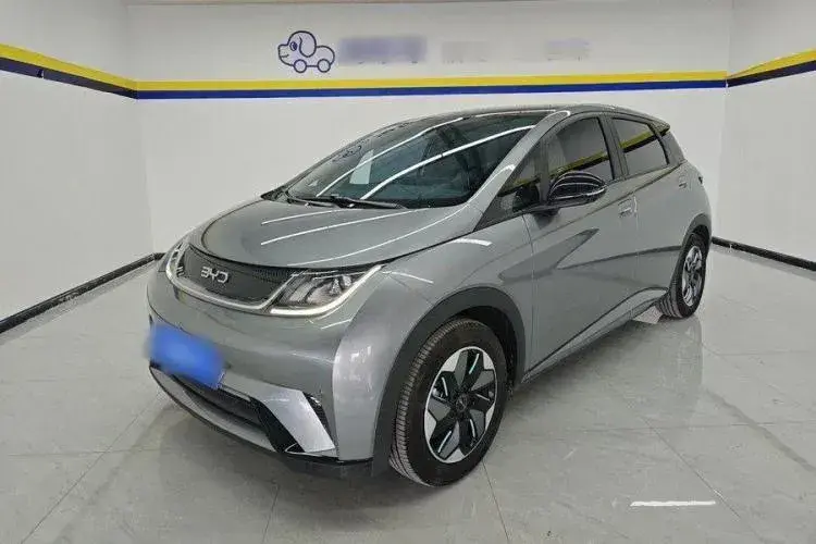 2024 BYD Dolphin BEV 44.928KWH