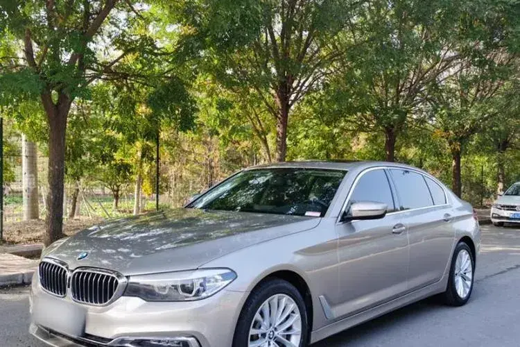 2019 BMW 5 Series 2.0T 252HP L4 8AT