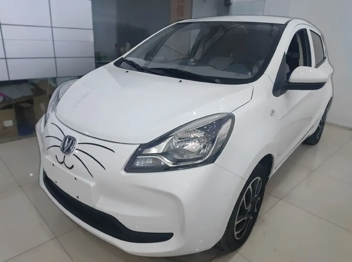2021 ChangAn BenBen E-Star BEV 31.18KWH