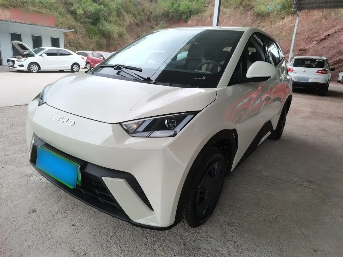 2025 BYD Seagull BEV 30.08KWH