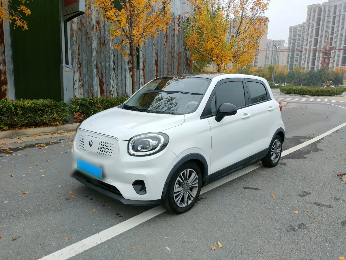 2020 Leapmotor T03 BEV 38KWH