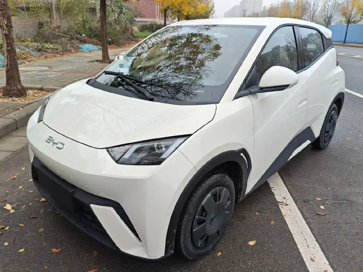 2025 BYD Seagull BEV 30.08KWH