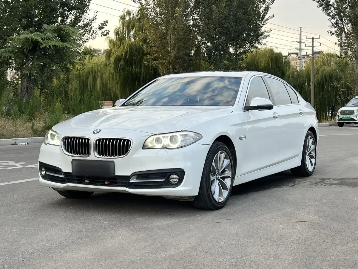 2017 BMW 5 Series 2.0T 218HP L4 8AT