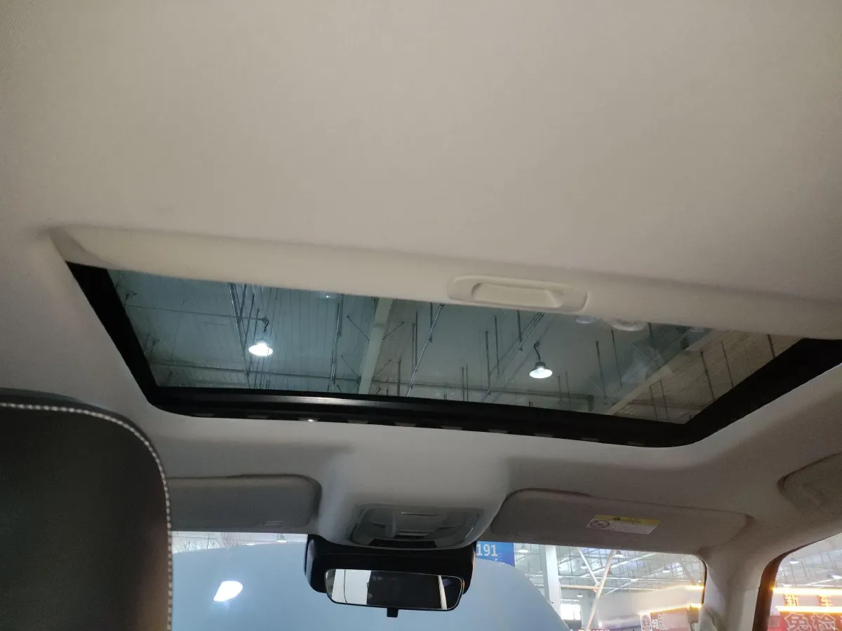 2021 Tank 300 2.0T 227HP L4 8AT,autocango,china used car exporter,china ev exporter,chinese used car exporter,chinese used ev exporter