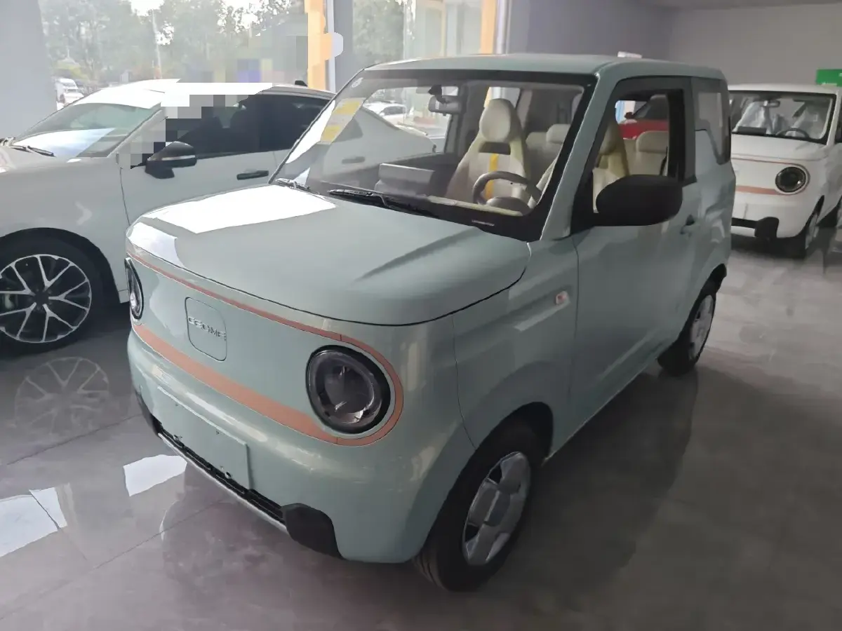 2024 Geely Panda BEV 17.03KWH