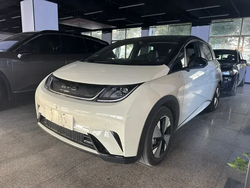 2023 BYD Dolphin BEV 44.928KWH