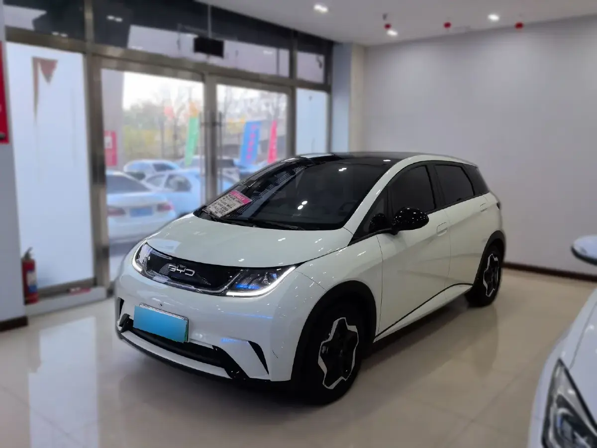 2021 BYD Dolphin BEV 44.9KWH