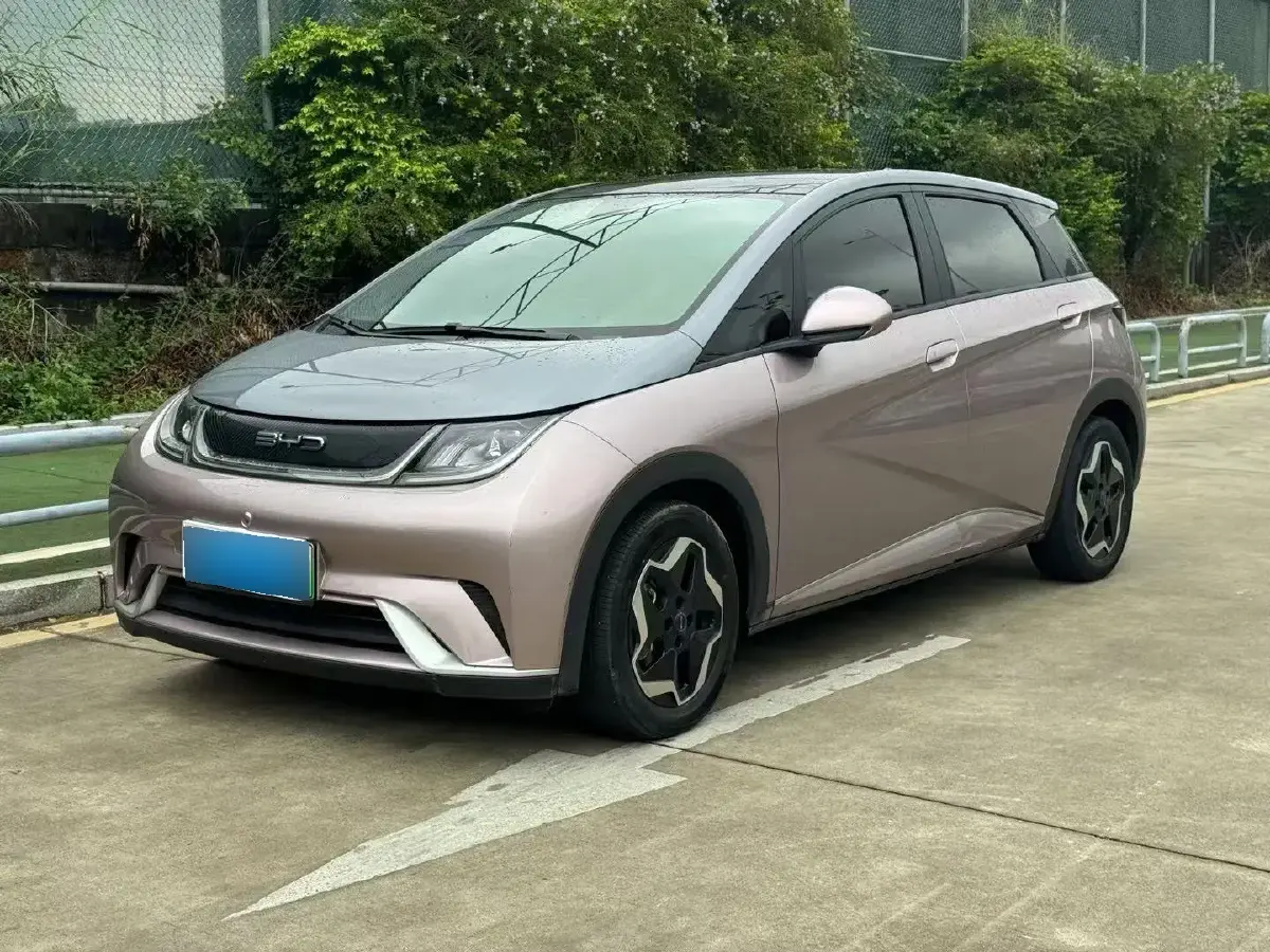 2021 BYD Dolphin BEV 44.9KWH