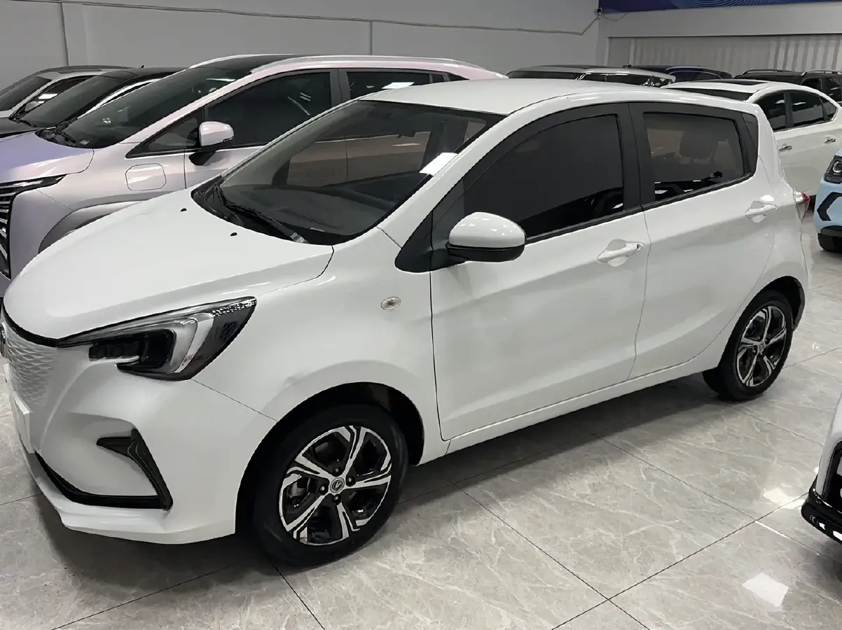2022 ChangAn BenBen E-Star BEV 31.95KWH