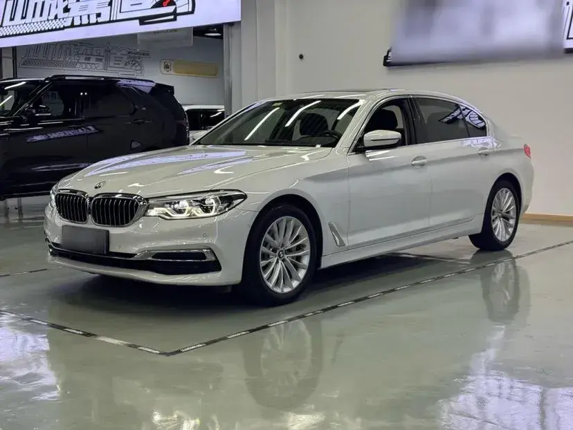 2020 BMW 5 Series 2.0T 252HP L4 8AT