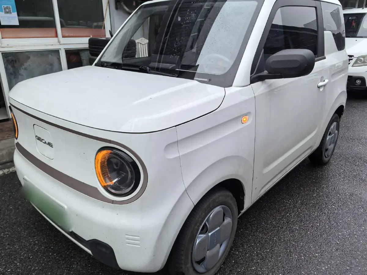 2023 Geely Panda BEV 17.03KWH