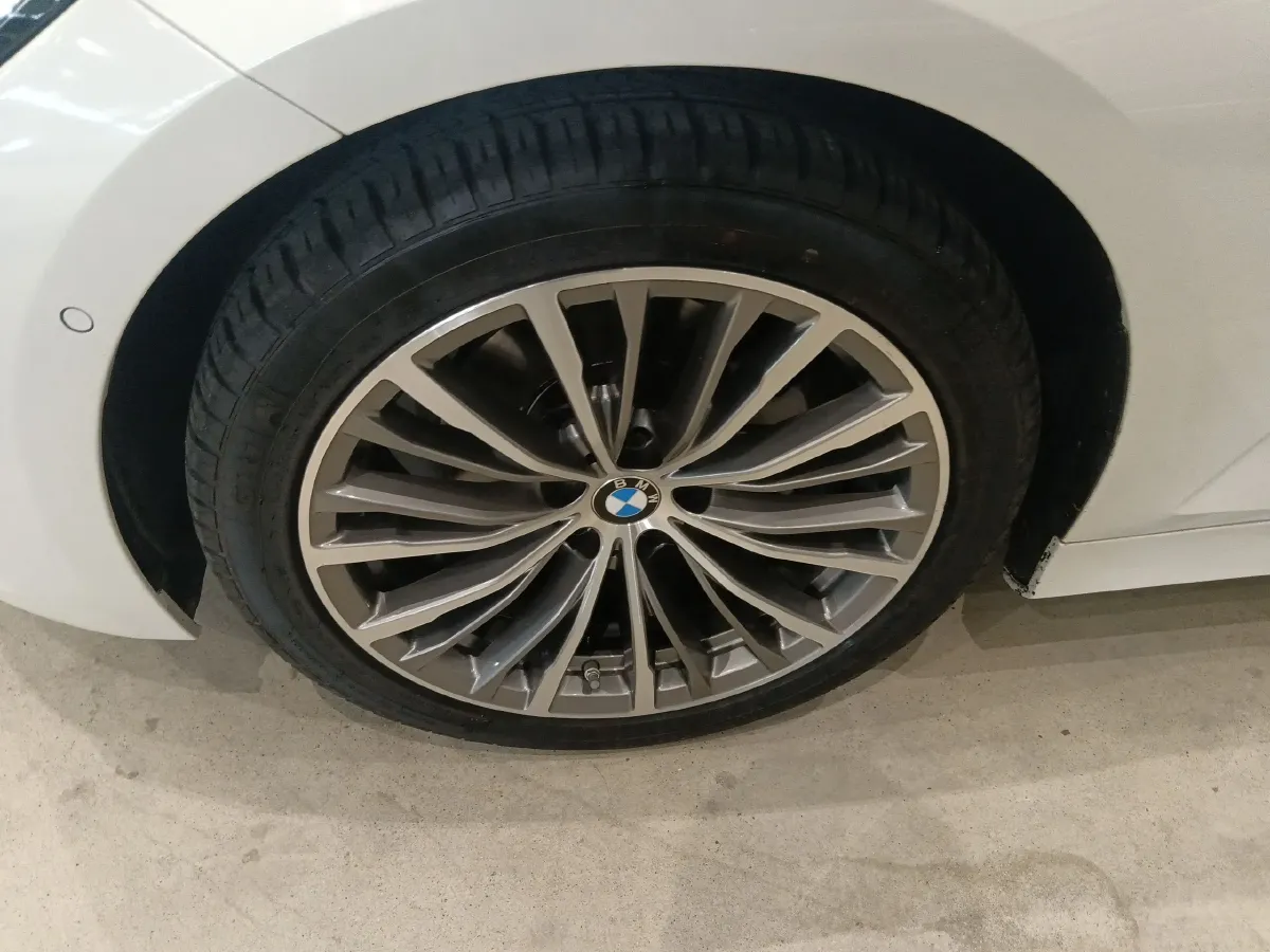 2020 BMW 3 Series 2.0T 184HP L4 8AT,autocango,china used car exporter,china ev exporter,chinese used car exporter,chinese used ev exporter