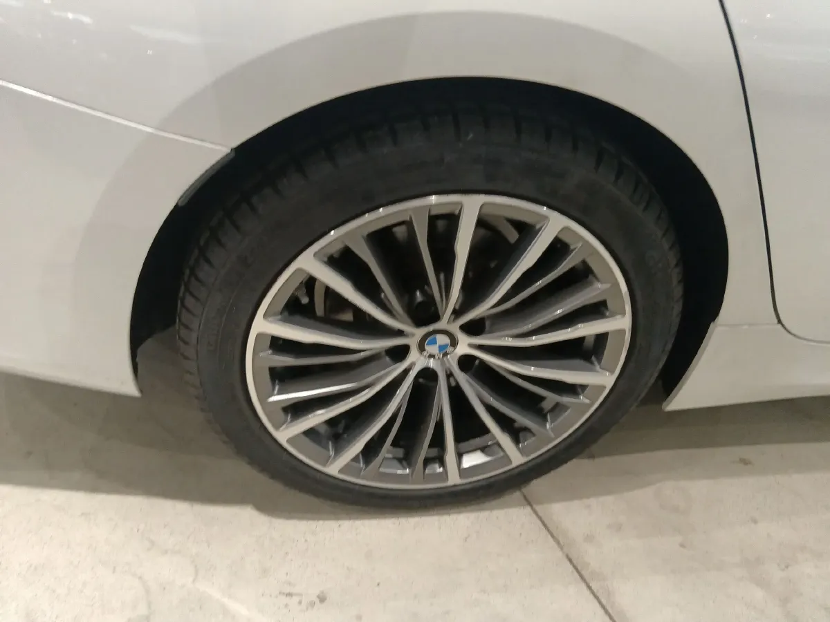 2020 BMW 3 Series 2.0T 184HP L4 8AT,autocango,china used car exporter,china ev exporter,chinese used car exporter,chinese used ev exporter