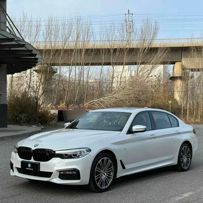 2018 BMW 5 Series 2.0T 252HP L4 8AT