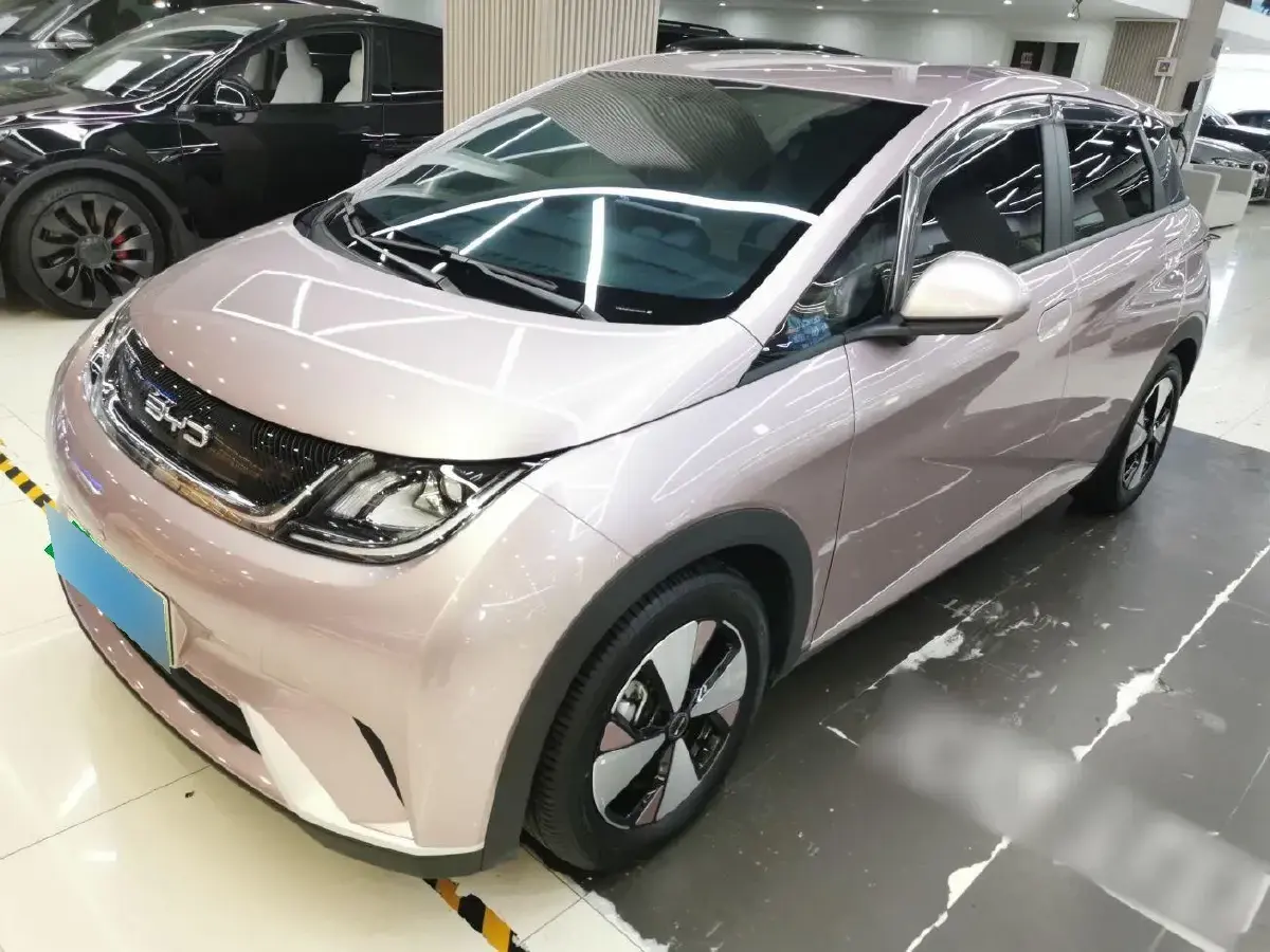 2023 BYD Dolphin BEV 44.928KWH