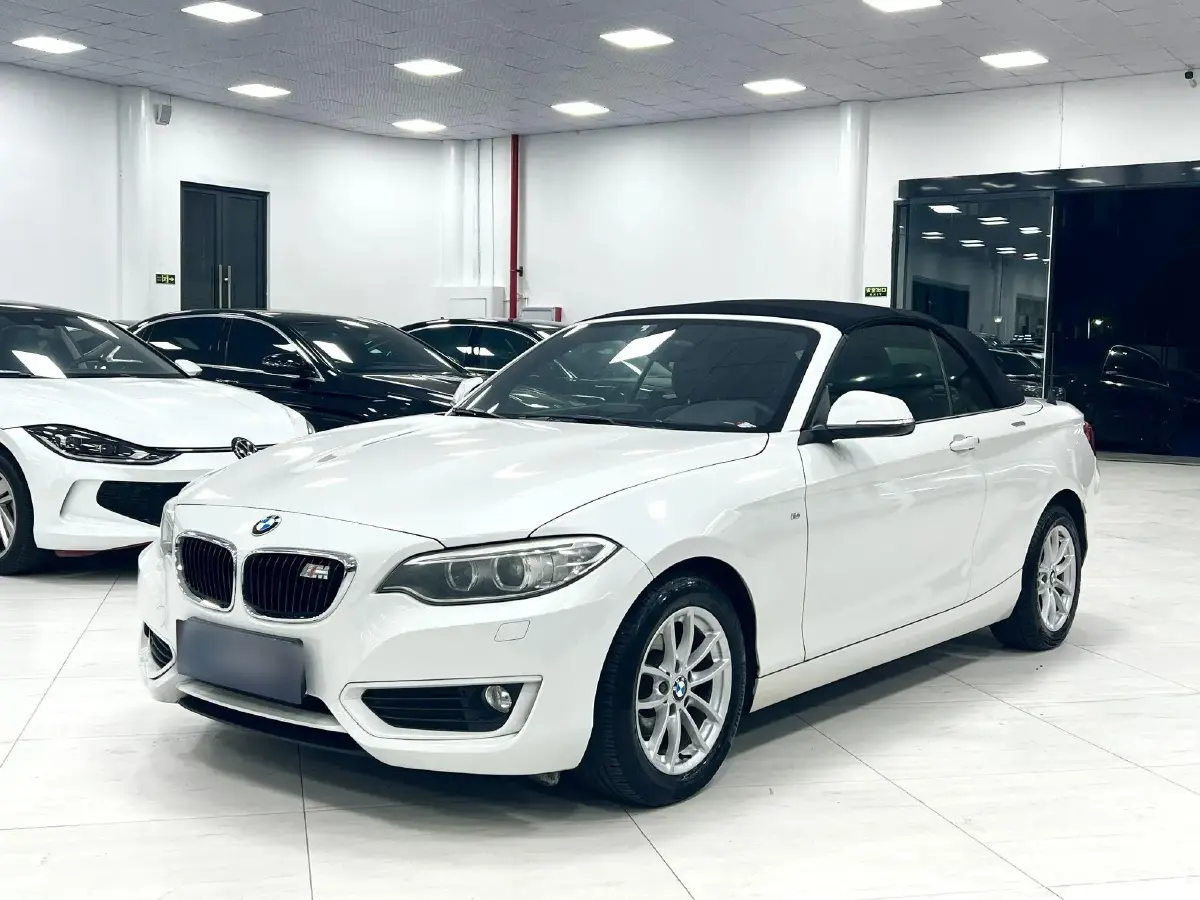 2015 BMW 2 Series 1.5T 136HP L3 8AT