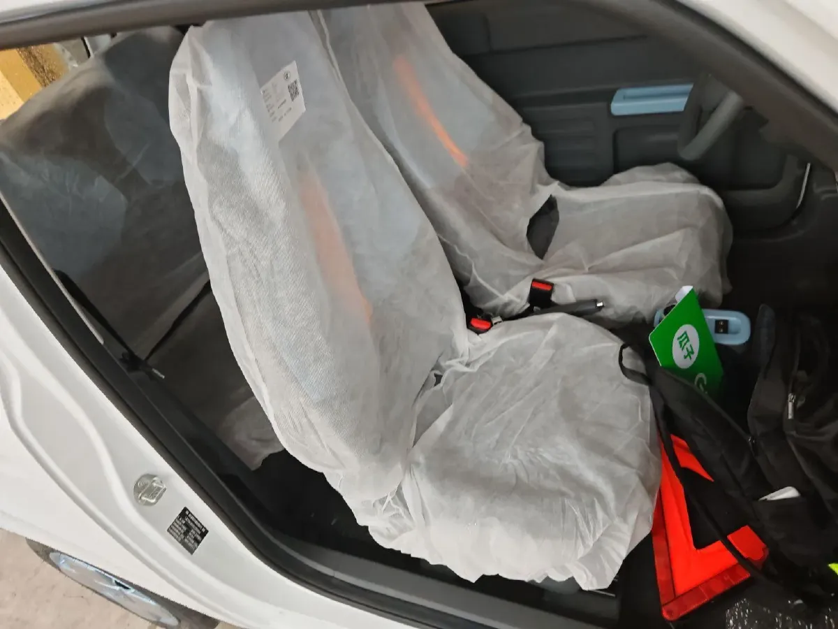 2024 Geely Panda BEV 17.03KWH,autocango,china used car exporter,china ev exporter,chinese used car exporter,chinese used ev exporter