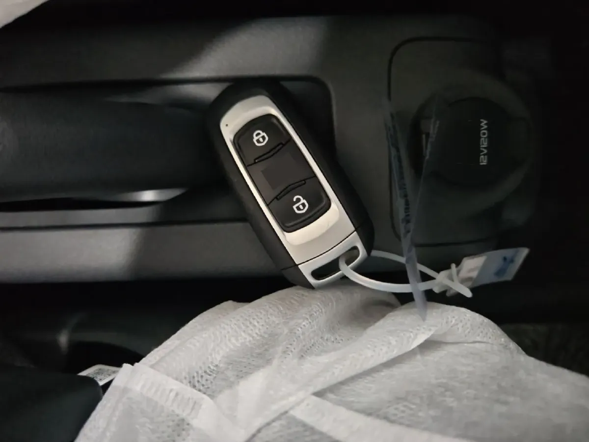 2024 Geely Panda BEV 17.03KWH,autocango,china used car exporter,china ev exporter,chinese used car exporter,chinese used ev exporter