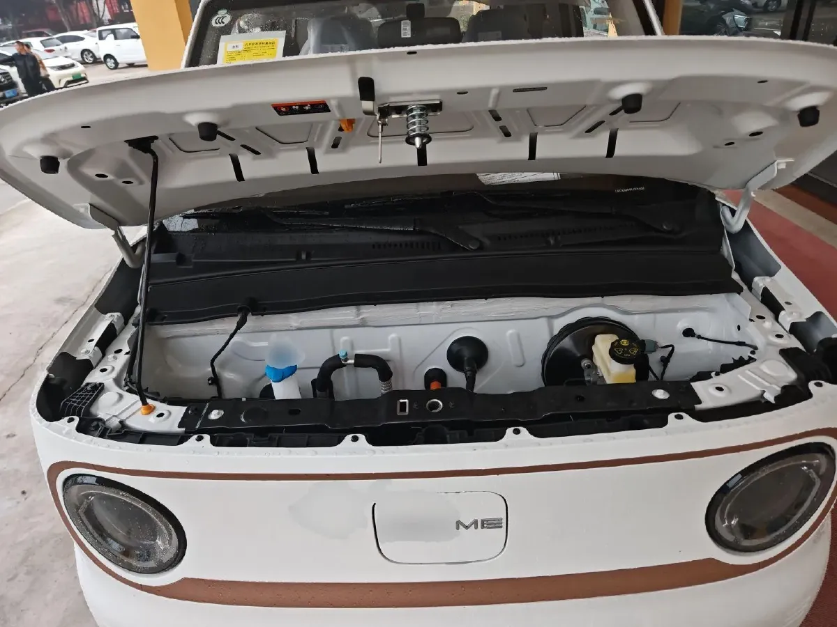 2024 Geely Panda BEV 17.03KWH,autocango,china used car exporter,china ev exporter,chinese used car exporter,chinese used ev exporter