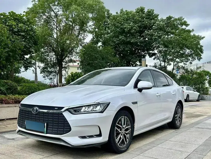 2019 BYD Qin Pro BEV 53.1KWH